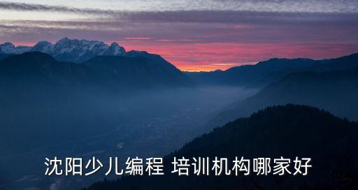 沈陽(yáng)少兒編程 培訓(xùn)機(jī)構(gòu)哪家好