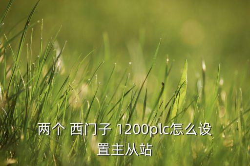 西門子1200