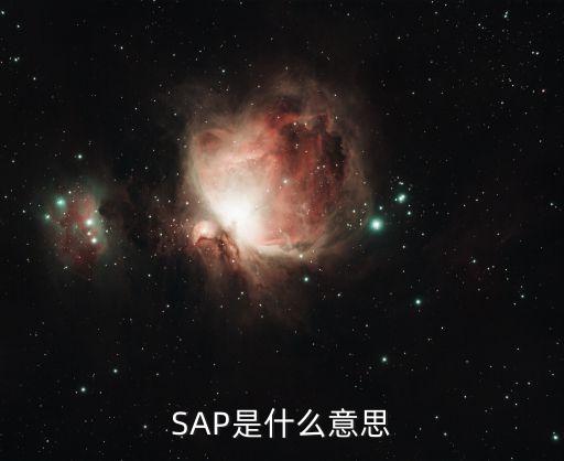 sap是什么軟件,sap是怎么回事?