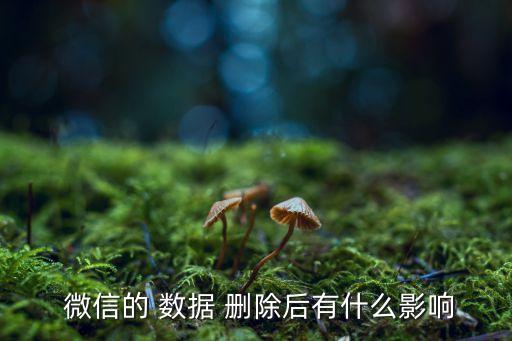  微信的 數(shù)據(jù) 刪除后有什么影響