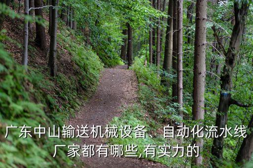 銑扁自動化設備公司,邯鄲自動化公司是什么?
