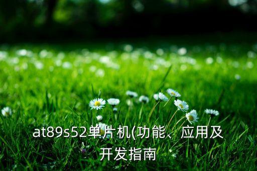 at89s52單片機(jī)(功能、應(yīng)用及開發(fā)指南