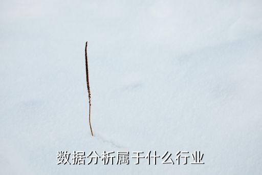 數(shù)據(jù)分析屬于什么行業(yè)