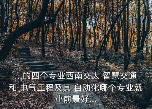 ...的四個(gè)專業(yè)西南交大 智慧交通和 電氣工程及其 自動(dòng)化哪個(gè)專業(yè)就業(yè)前景好...