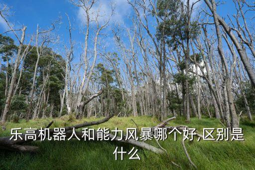 樂高機(jī)器人和能力風(fēng)暴哪個好,區(qū)別是什么