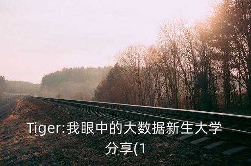 Tiger:我眼中的大數(shù)據(jù)新生大學分享(1