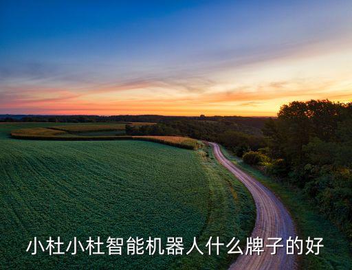 小杜小杜智能機(jī)器人什么牌子的好