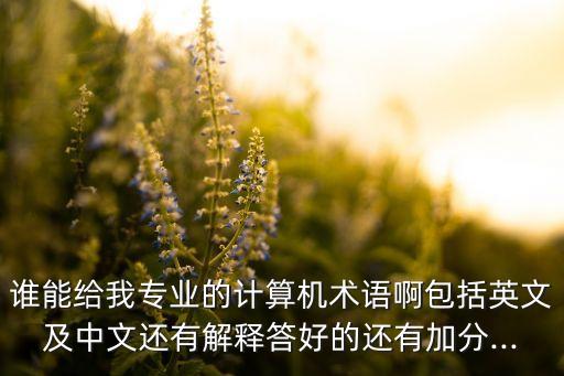 誰能給我專業(yè)的計算機術語啊包括英文及中文還有解釋答好的還有加分...