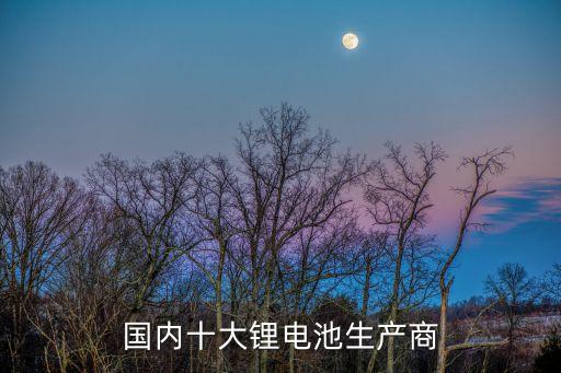 上海鋰電池蓋板自動化設備廠家,鋰電池正規(guī)廠家有哪幾家?