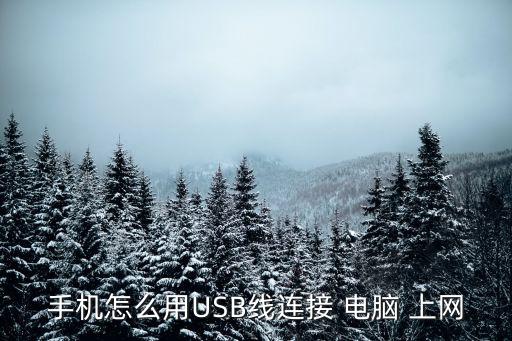 數(shù)據(jù)線怎么給電腦上網(wǎng),手機(jī)通過(guò)數(shù)據(jù)線給電腦上網(wǎng)