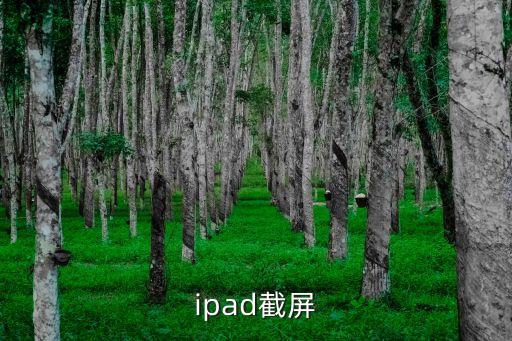 ipad截屏