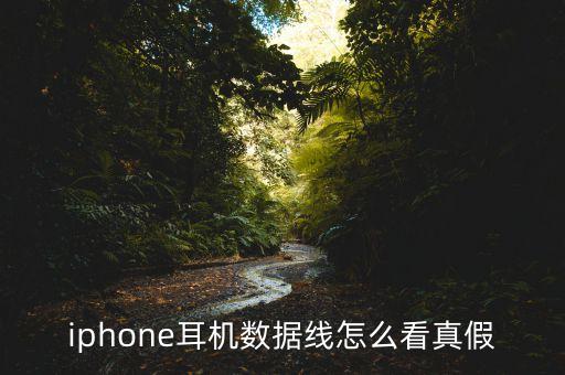 iphone耳機數(shù)據(jù)線怎么看真假