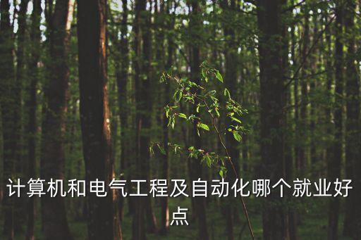 計算機和電氣工程及自動化哪個就業(yè)好點