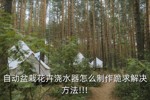 自動盆栽花卉澆水器怎么制作跪求解決方法!!!