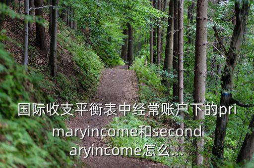 國際收入數(shù)據(jù)分析,中國2011年國際收支平衡表分析及預(yù)測