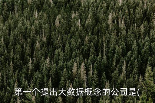 金融界大數(shù)據(jù),互聯(lián)網(wǎng)金融界最火名詞非p2p莫屬
