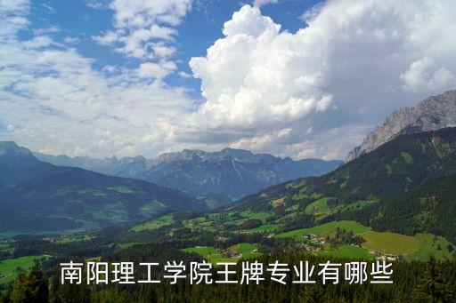 南陽理工學(xué)院王牌專業(yè)有哪些