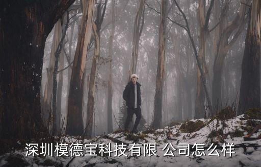 深圳模德寶科技有限 公司怎么樣