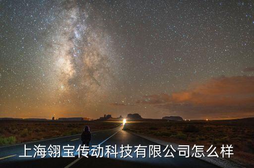 上海翎寶傳動科技有限公司怎么樣