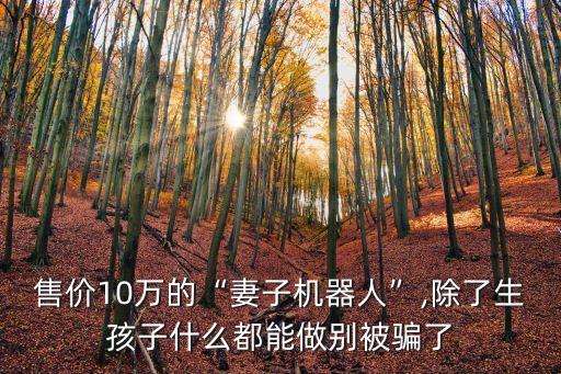 售價(jià)10萬(wàn)的“妻子機(jī)器人”,除了生孩子什么都能做別被騙了