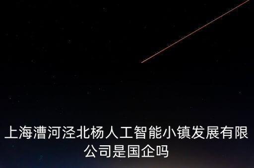 漕河涇自動化公司,上海漕河涇高科技園區(qū)有哪些公司?