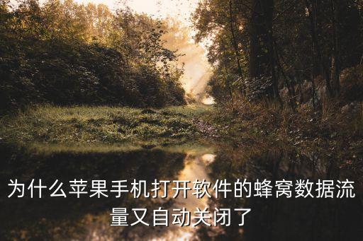蜂窩數(shù)據(jù)閃退,更新了ios10蜂窩移動(dòng)網(wǎng)絡(luò)就閃退?