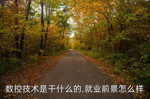 數(shù)控技術(shù)是干什么的,就業(yè)前景怎么樣