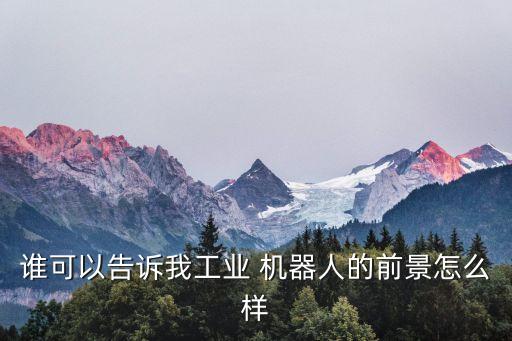 誰(shuí)可以告訴我工業(yè) 機(jī)器人的前景怎么樣