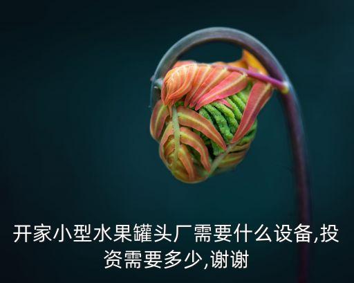 開家小型水果罐頭廠需要什么設(shè)備,投資需要多少,謝謝
