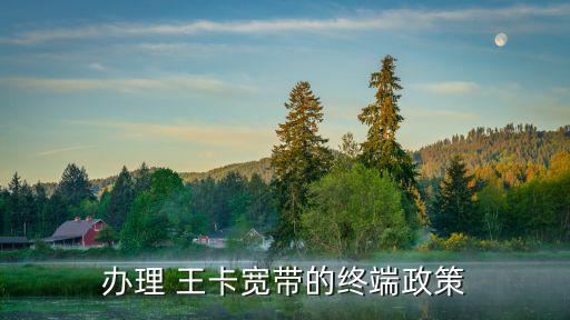 辦理 王卡寬帶的終端政策