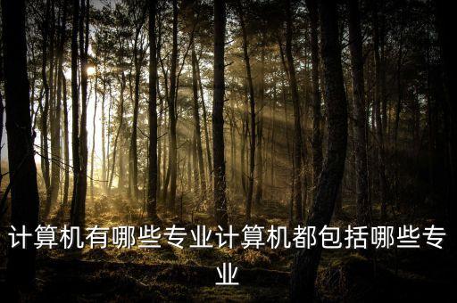 計(jì)算機(jī)有哪些專業(yè)計(jì)算機(jī)都包括哪些專業(yè)