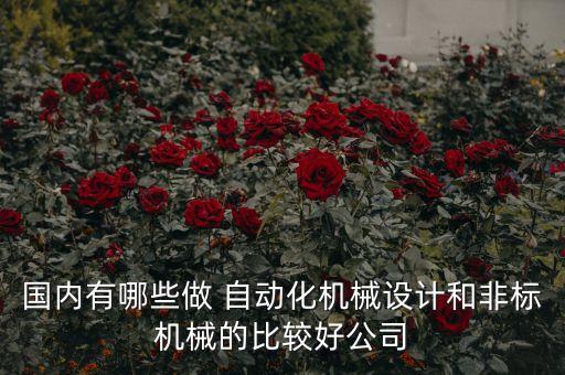 國內(nèi)有哪些做 自動化機(jī)械設(shè)計和非標(biāo)機(jī)械的比較好公司