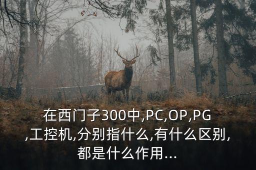 在西門子300中,PC,OP,PG,工控機(jī),分別指什么,有什么區(qū)別,都是什么作用...