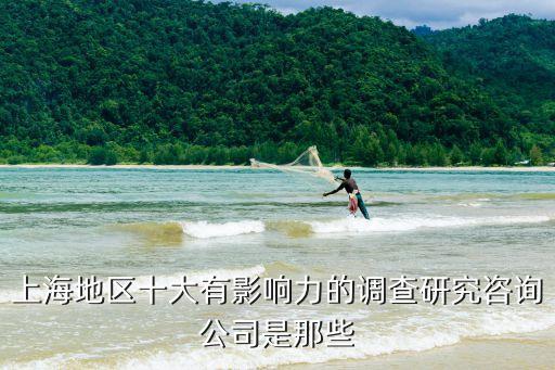 媒體大數(shù)據(jù)研究公司,大數(shù)據(jù)公司有哪些分類?