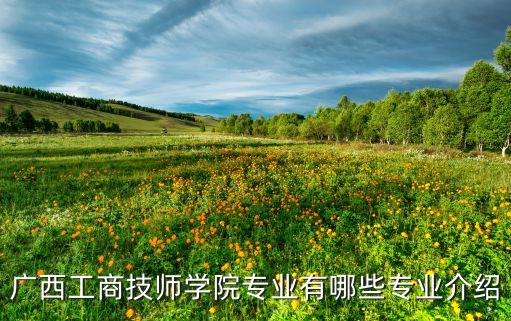 廣西自動化設(shè)備集成商,系統(tǒng)集成商再細分為硬件和軟件供應商