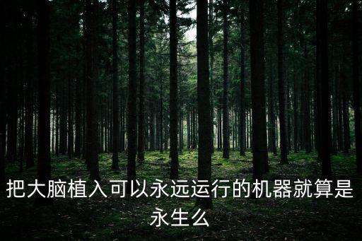 把大腦植入可以永遠(yuǎn)運(yùn)行的機(jī)器就算是永生么