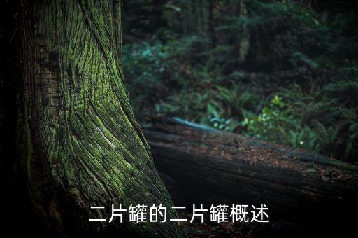 圓形鋁罐生產(chǎn)自動(dòng)化設(shè)備