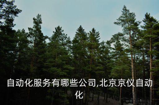 北京自動化服務(wù)有哪些公司,北京京儀自動化