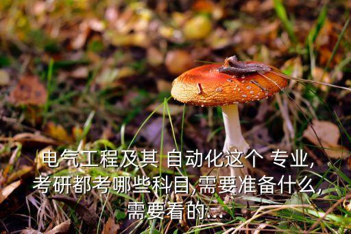  電氣工程及其 自動化這個 專業(yè), 考研都考哪些科目,需要準備什么,需要看的...