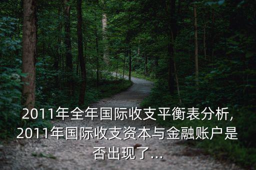 2011年全年國際收支平衡表分析,2011年國際收支資本與金融賬戶是否出現(xiàn)了...