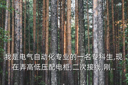 我是電氣自動化專業(yè)的一名專科生,現(xiàn)在弄高低壓配電柜,二次接線,剛...