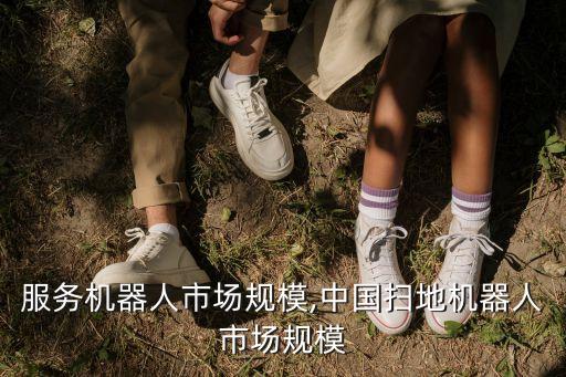 家庭服務(wù)機(jī)器人市場(chǎng)規(guī)模,中國(guó)掃地機(jī)器人市場(chǎng)規(guī)模