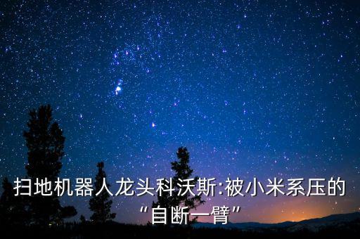 掃地機(jī)器人龍頭科沃斯:被小米系壓的“自斷一臂”