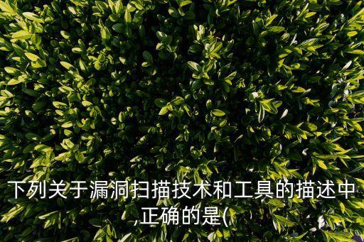 下列關(guān)于漏洞掃描技術(shù)和工具的描述中,正確的是(