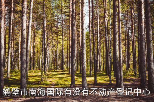 鶴壁市南海國際有沒有不動產(chǎn)登記中心
