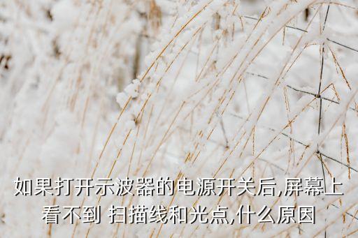 如果打開示波器的電源開關(guān)后,屏幕上看不到 掃描線和光點,什么原因
