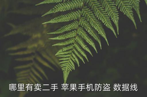 蘋(píng)果數(shù)據(jù)線哪里可以買(mǎi)