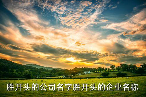 勝開頭的公司名字勝開頭的企業(yè)名稱