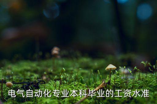電氣自動(dòng)化專業(yè)本科畢業(yè)的工資水準(zhǔn)