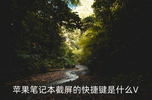 macbook截圖快捷鍵,怎么截圖?看這里!